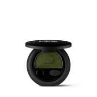 ANNEMARIE BÖRLIND POWDER EYE SHADOW Puderlidschatten Dark Green 2g ANNEMARIE BÖRLIND POWDER EYE SHADOW Puderlidschatten Dark Green 2g